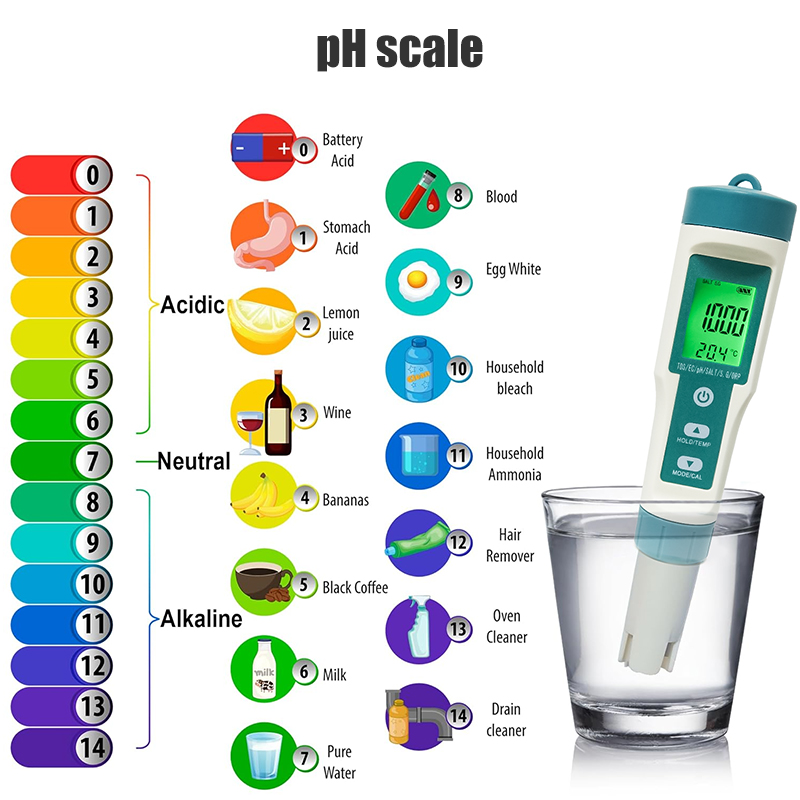 WESTTUNE مقياس درجة الحموضة ال - مراجعة Ph Meter Digital Water Tester وسعره